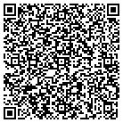 QR code with Public Allies Of Delaware contacts