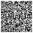 QR code with Cyzner Properties LLC contacts