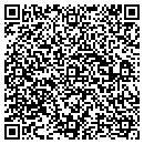 QR code with Cheswold Connection contacts