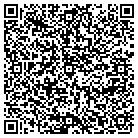 QR code with Pull The String Productions contacts