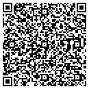 QR code with Publix Sabor contacts