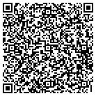 QR code with Publix Super Market contacts