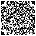QR code with Window Medics contacts