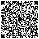 QR code with City Window Cleaning Inc contacts