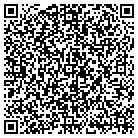 QR code with Blue Source Companies contacts
