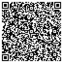 QR code with Bluewaters Services contacts