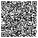 QR code with Tintin contacts