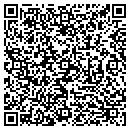 QR code with City Wide Window Cleaning contacts