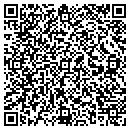 QR code with Cognisa Security Inc contacts