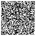 QR code with Salsa contacts