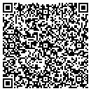 QR code with Cobra Security LLC contacts