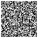 QR code with Pull Tight Box Office contacts