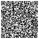 QR code with Pulaski Development Co contacts