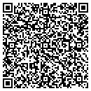 QR code with Pyramid Development contacts