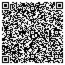 QR code with Cygnet Development LLC contacts