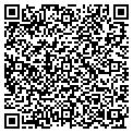 QR code with Amscot contacts