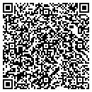 QR code with Cook Investigations contacts
