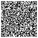QR code with P & D Developers Inc contacts