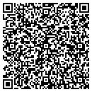 QR code with China Cafe Carryout contacts