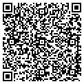 QR code with Pvca contacts