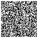 QR code with Public Access Development contacts
