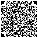 QR code with Pyramid Development contacts