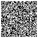 QR code with Pyramid Development Inc contacts
