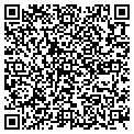 QR code with T Corp contacts