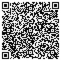 QR code with Q-Stix contacts