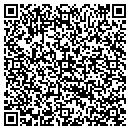QR code with Carpet Store contacts