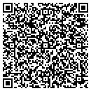 QR code with Bizarre Bazaar contacts