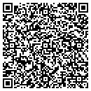 QR code with Process Innovations contacts
