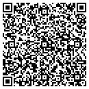 QR code with Property Investment contacts