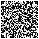 QR code with Prairie Auto contacts