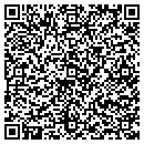 QR code with Protemp Services LLC contacts
