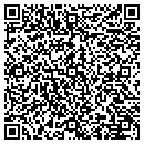 QR code with Professional Installations contacts