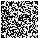 QR code with Clemons Variety Inc contacts