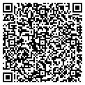 QR code with Amore contacts