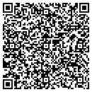 QR code with Collier Pool Guyz LLC contacts