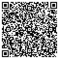 QR code with Vital Vibes contacts
