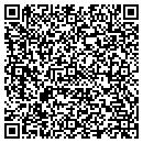 QR code with Precision Maps contacts