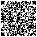 QR code with Premier Pools & Spas contacts