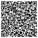 QR code with Premier Pool Spa contacts