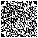 QR code with Punta Cana Cafe contacts