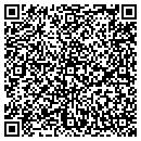 QR code with Cgi Development Inc contacts