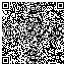 QR code with Costanza Development contacts