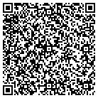 QR code with Punky's Ice Cream LLC contacts