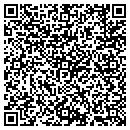 QR code with Carpets and More contacts