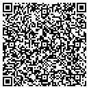 QR code with Pulsar Development contacts