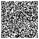 QR code with Precision Motorsports contacts
